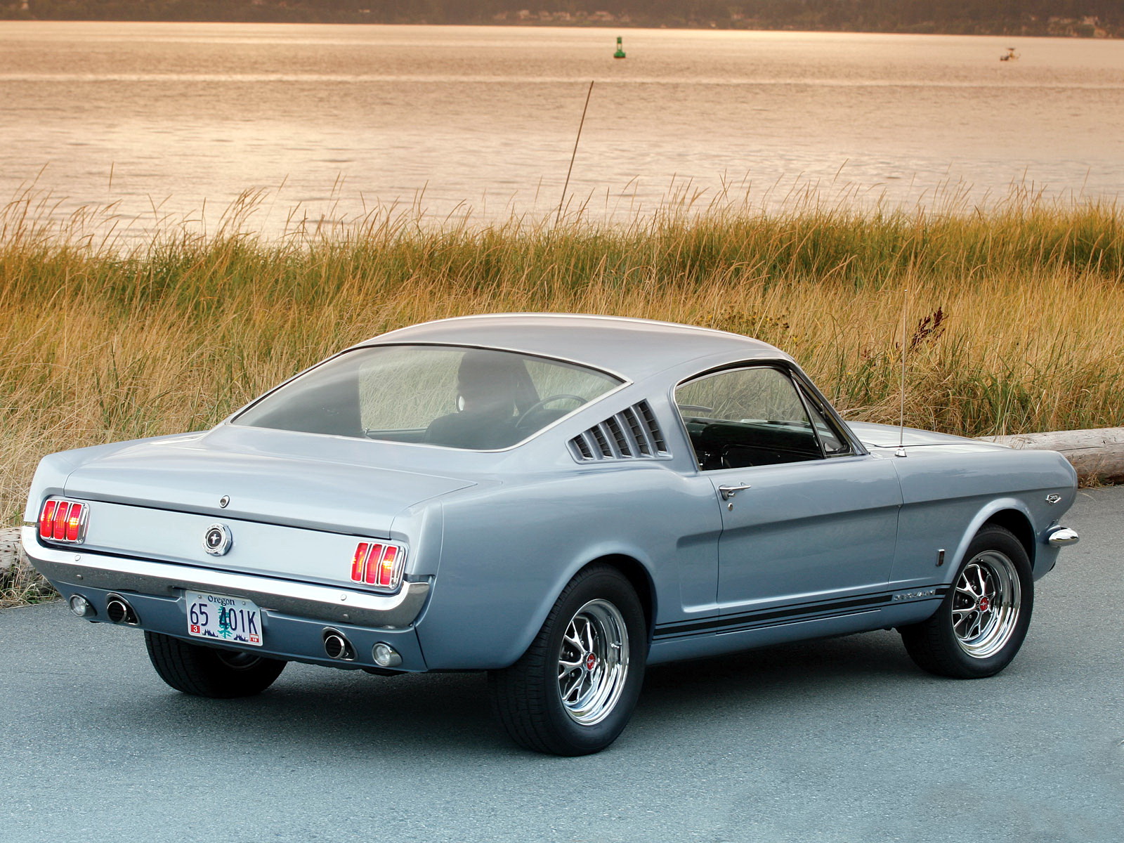 Ford Mustang Shelby Fastback 1965